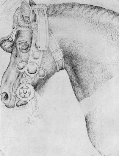 Hoofd van een paard, uit het Vallardi-album door Antonio Pisanello