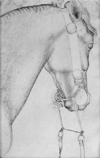 Hoofd van een paard, uit het Vallardi-album door Antonio Pisanello