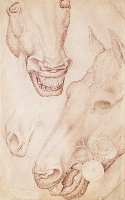 Paardenhoofden, uit het Vallardi-album door Antonio Pisanello