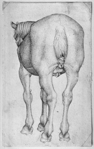 Paard, uit het Vallardi-album door Antonio Pisanello