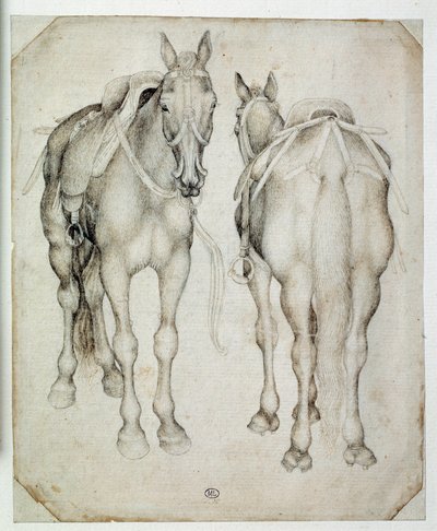 Twee harnassen, gezien driekwart door Antonio Pisanello
