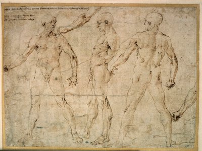 Drie naakte mannen. Tekening door Antonio Pollaiuolo (Pollaiolo) (1432-1498) door Antonio Pollaiuolo