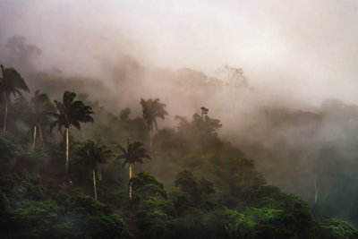 Corcovado XIX, 2020 door Antonio Schubert