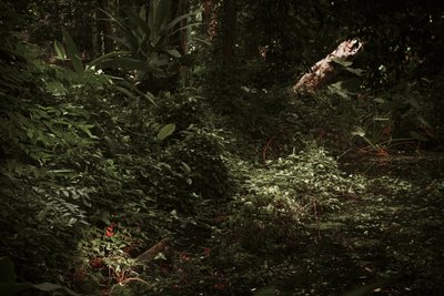 Licht en schaduwen, 2025 (digitale fotografie) door Antonio Schubert