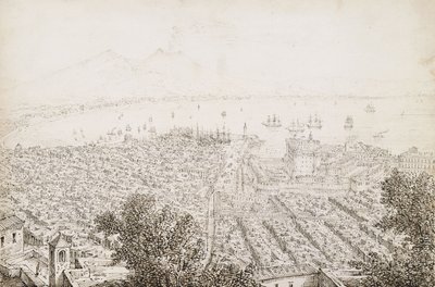 Een panoramisch uitzicht op Napels door Antonio Senape