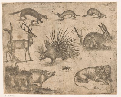Studieblad met verschillende dieren door Antonio Tempesta (attributed to)