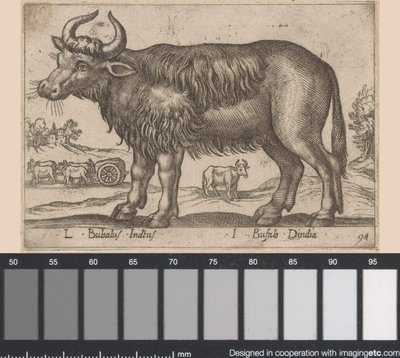 Buffel door Antonio Tempesta