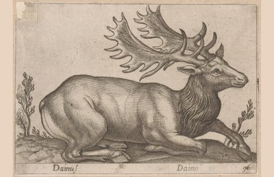 Damhert door Antonio Tempesta