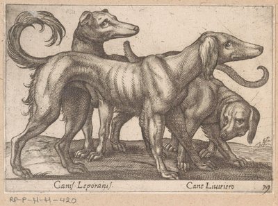Drie honden door Antonio Tempesta