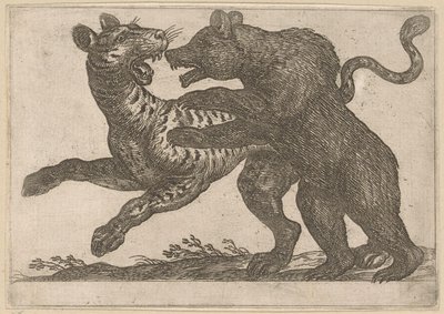 Een beer vechtend met een tijger door Antonio Tempesta