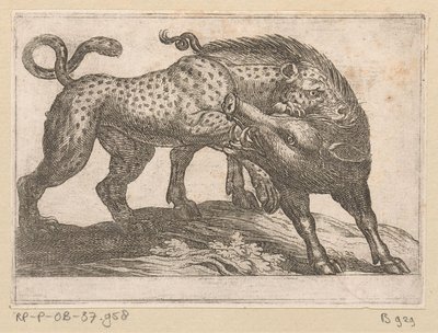 Een luipaard vechtend met een everzwijn door Antonio Tempesta
