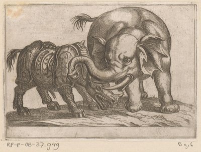 Een neushoorn vecht met een olifant door Antonio Tempesta