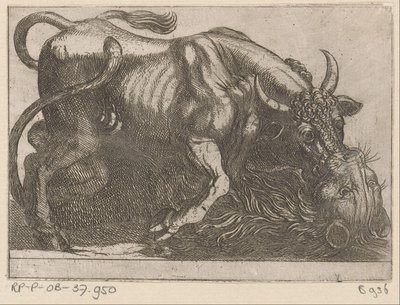 Een stier vechtend met een leeuw door Antonio Tempesta