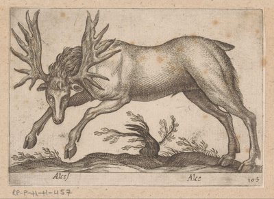 Eland door Antonio Tempesta