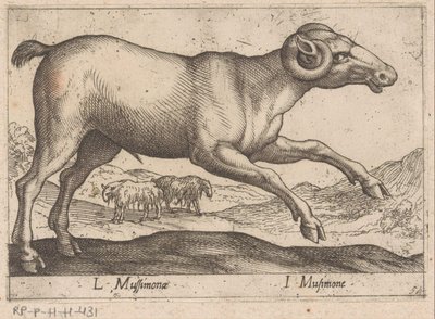 Geitachtige door Antonio Tempesta