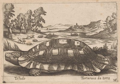 Landschildpad door Antonio Tempesta
