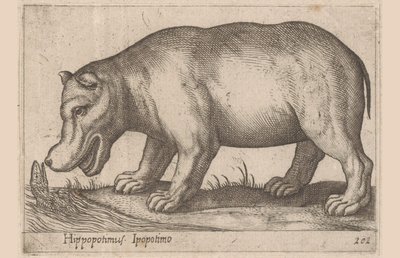 Nijlpaard door Antonio Tempesta
