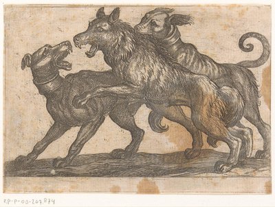 Twee honden in gevecht met een wolf door Antonio Tempesta