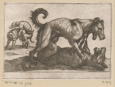 Twee parende en twee vechtende honden door Antonio Tempesta