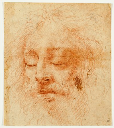 Hoofd van een slapende man door Antonio da Correggio