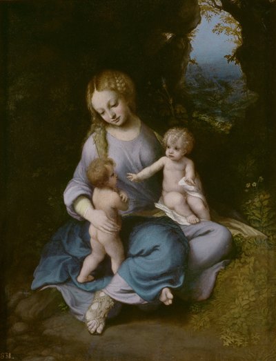 Maagd en kind met Johannes de Doper als Jongen door Antonio da Correggio
