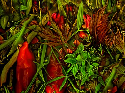  door Antonius Antonius