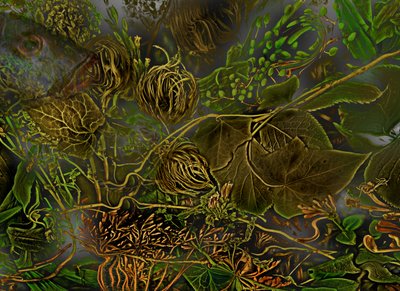  door Antonius Antonius