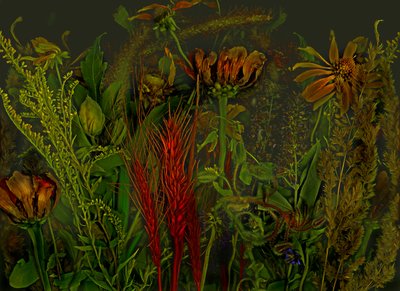  door Antonius Antonius