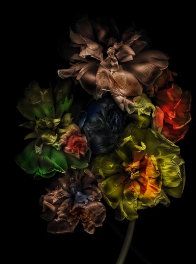  door Antonius Antonius