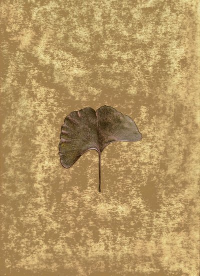  door Antonius Antonius