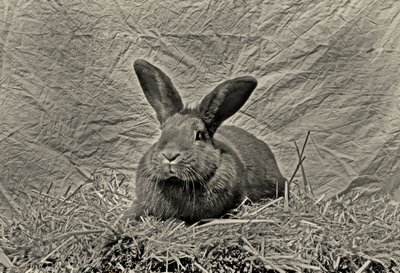  door Antonius Antonius