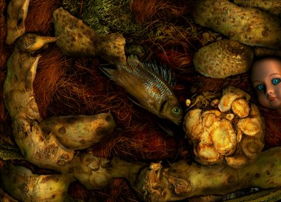 Tovertuin nr.70, 2014 (foto) door Antonius Antonius