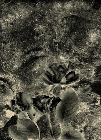  door Antonius Antonius