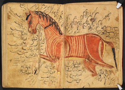 Paard, uit 