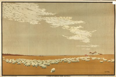Een Kudde Merino Schapen - Australië, uit de serie 