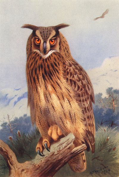 Oehoe door Archibald Thorburn