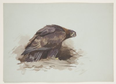 Steenarend, ca. 1915 door Archibald Thorburn