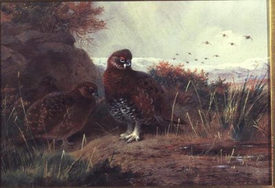 Patrijzen in een Winterlandschap door Archibald Thorburn