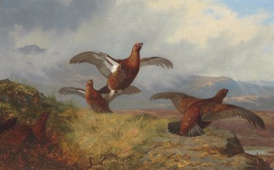 Patrijzen in vlucht door Archibald Thorburn