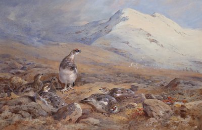 Op het Sneeuwhoenveld door Archibald Thorburn