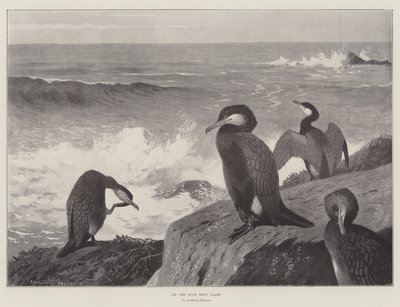 Aan de wilde westkust door Archibald Thorburn