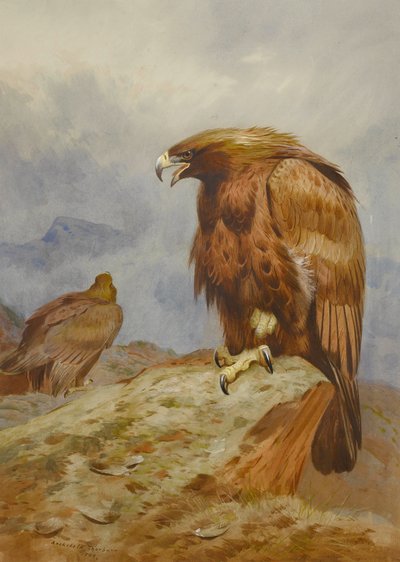 Paar Steenarenden door Archibald Thorburn