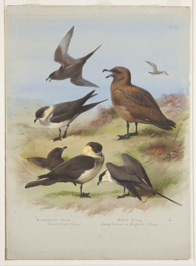 Jagers, ca. 1915 (aquarel & lichaamkleur over potlood op papier) door Archibald Thorburn