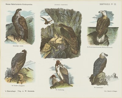 Roofvogels (titel op object)
Nieuwe Nederlandsche kinderprenten (serietitel op object)
Funke