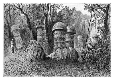 Ruïnes van een Ahom-tempel, Dinajpur, Boven-Assam, India, 1895 door Armand Kohl
