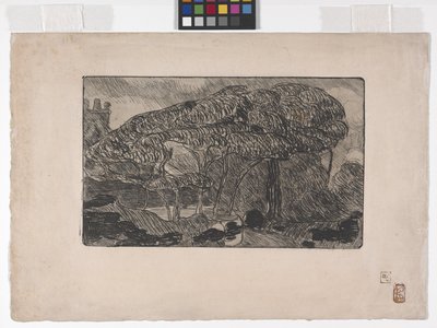 De Storm door Armand Séguin
