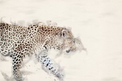  door Arno Du Toit