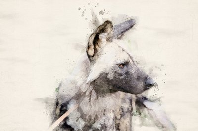 Serene Wild Dog - Aquarel door Arno Du Toit