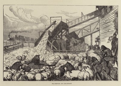 Varkensdrijven in Cincinnati door Arthur Boyd Houghton