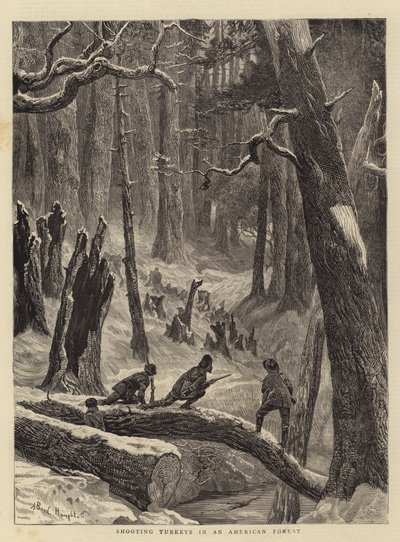 Kalkoenen schieten in een Amerikaans bos door Arthur Boyd Houghton